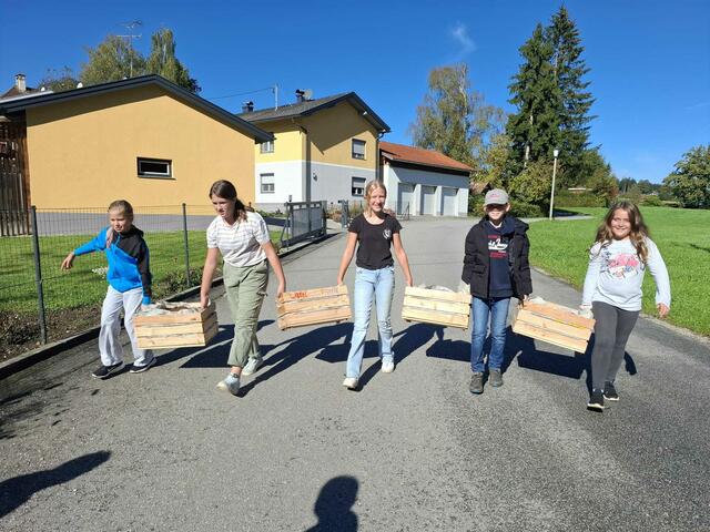 Umgesetzt wurde das Projekt des Bodenbündnis OÖ mit der Unterstützung von Renate Fußthaler und ihrem Team.  | Foto: Mittelschule Raab