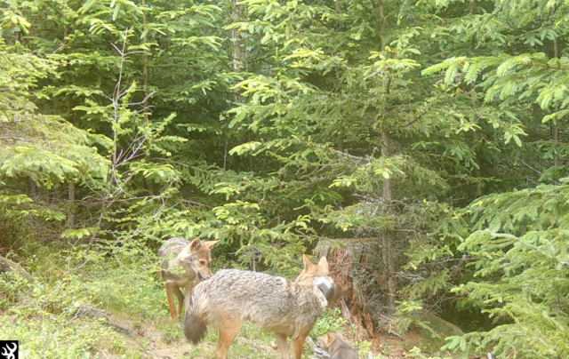 Foto: Privat/Jennifer Hatlauf