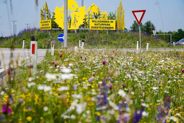 Von üppigen Blumenwiesen bis hin zu Baumpflanzaktionen, im Bezirk Leibnitz laufen zahlreiche Projekte, um die Artenvielfalt zu fördern.