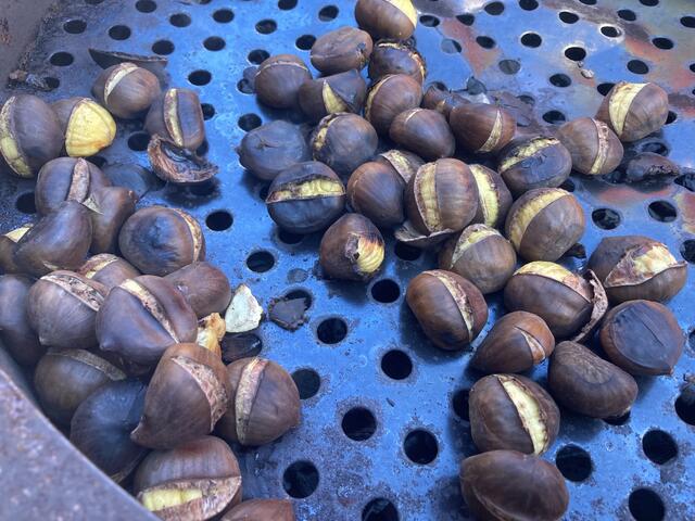 Die ersten Kostproben