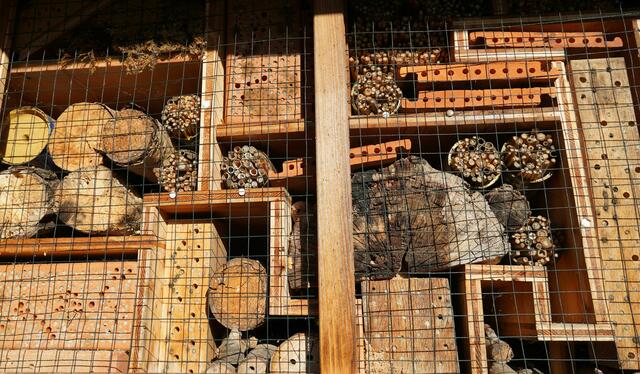 Das Käferhotel in Henndorf | Foto: Simon Haslauer