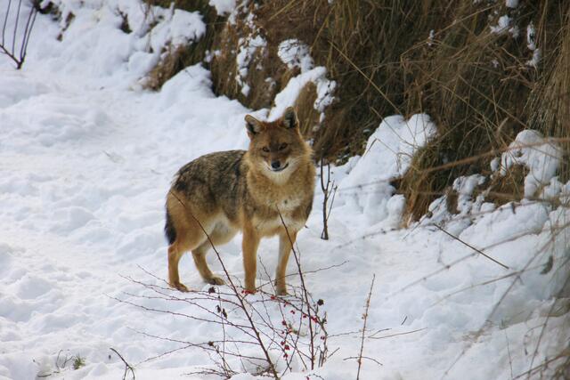 Foto: Privat/Jennifer Hatlauf