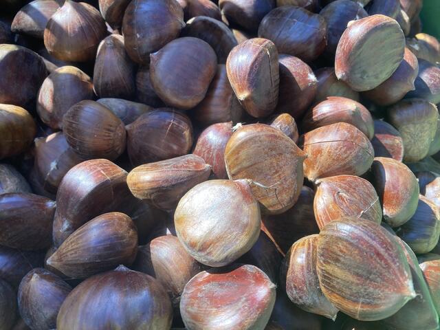 Wie mittlerweile schon zur Routine geworden, gelang das Maroni-Anschneiden mit freiwilligem Teamgeist wie am Fließband – 20 kg wurden gebraten. 