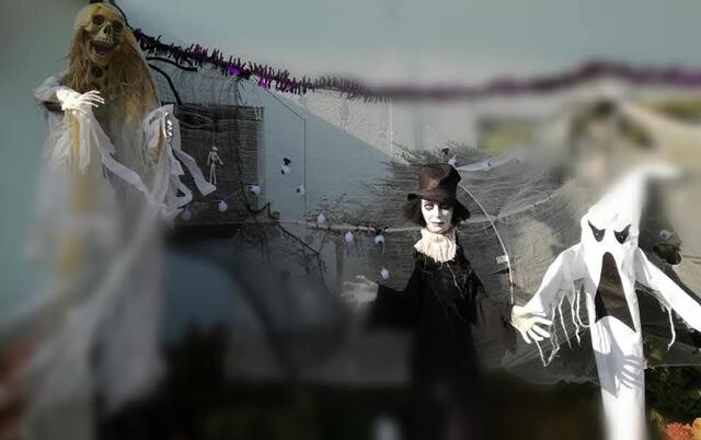 Halloween in der Nachbarschaft | Foto: Karmen Erhart