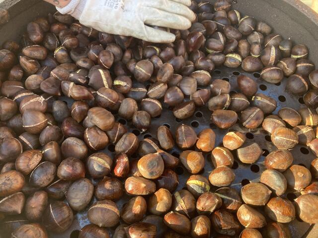 Schön langsam werden die Maroni ...