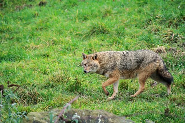 Foto: Privat/Jennifer Hatlauf