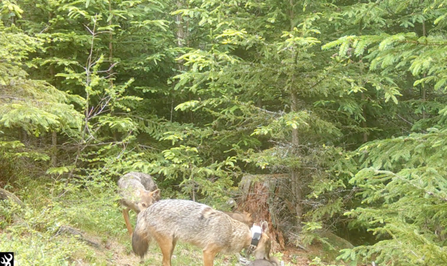 Foto: Privat/Jennifer Hatlauf