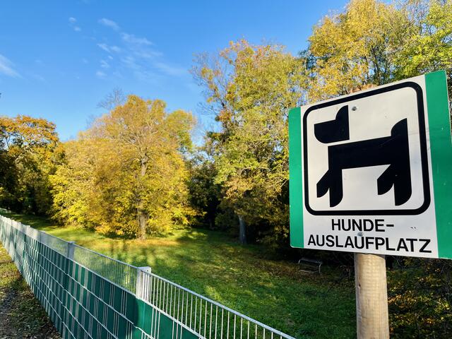 Ein neuer Zaun soll künftig im Draschepark Konfliktsituationen zwischen Hunden und Fußgängern oder Radfahrern verhindern.  | Foto: BV23/Esther Genitheim