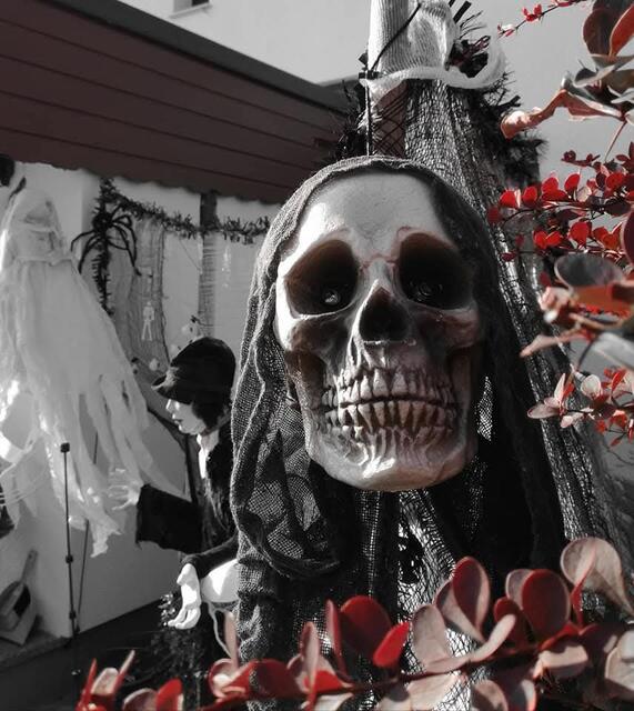 Halloween in der Nachbarschaft | Foto: Karmen Erhart