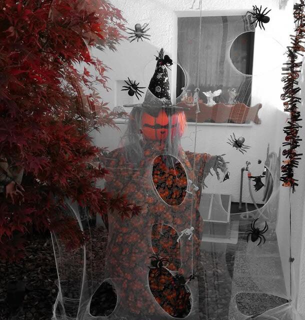 Halloween in der Nachbarschaft | Foto: Karmen Erhart