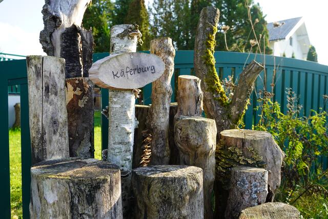 In der Henndorfer Käferburg leben etwa 1.400 Insekten. | Foto: Simon Haslauer