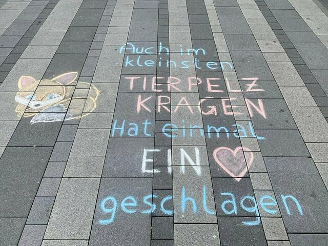 Am 2. November veranstaltet der Verein gegen Tierfabriken eine Anti-Pelz-Demo durch die Wiener Innenstadt.