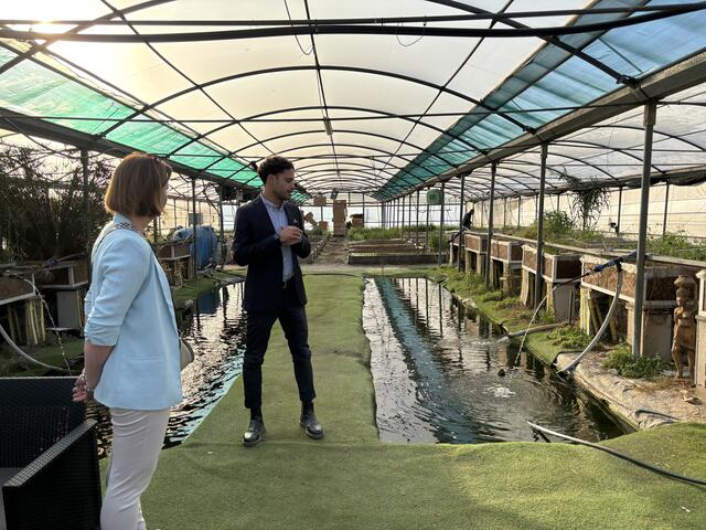 Aquaponik nutzt eine Technologie, bei der von Fischen produziertes organisches Material als Alternative zu Herbiziden und synthetischen Düngemitteln verwendet wird | Foto: kai