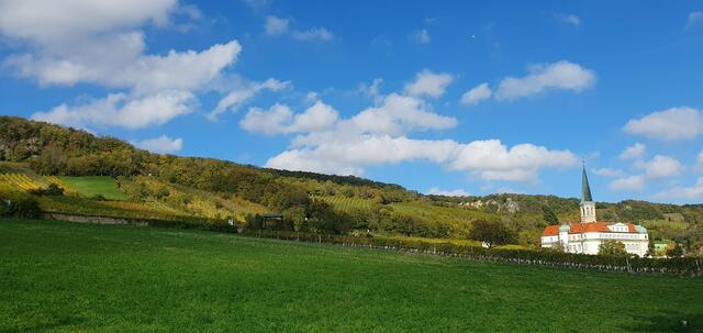 Warm und ungewöhnlich mild, auch hier in unseren Breiten wie z.B. in Gumpoldskirchen | Foto: Philipp Steinriegler