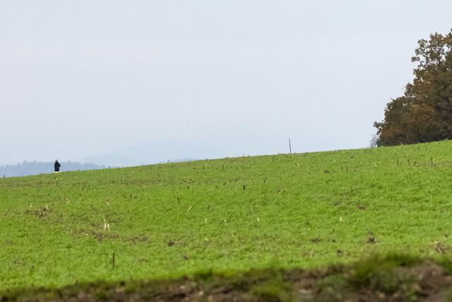 Foto: fotokerschi.at