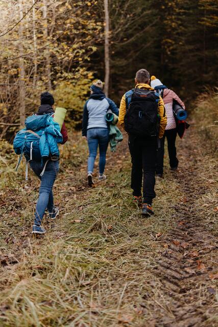 Auf in den Wald: immer mehr Menschen nutzen die nachgewiesene heilsame Wirkung des Waldes auf Körper und Geist.  | Foto: Nici Seiser