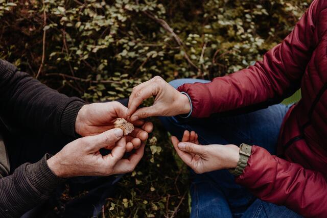 Den Wald spüren: auch Aufgaben mit Bestandteilen der Bäume, wie hier Blätter, gilt es zu meistern.  | Foto: Nici Seiser