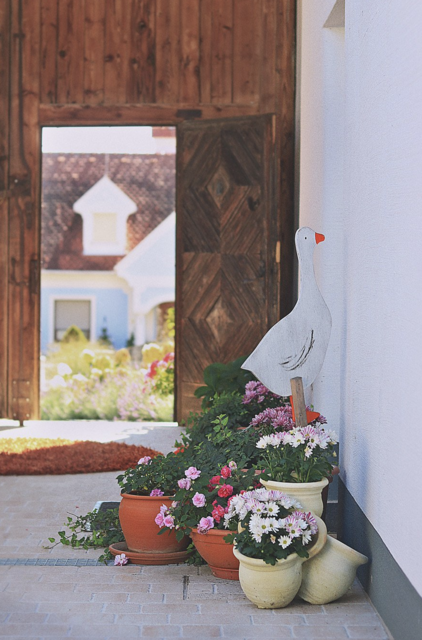 Von der Gans gibt es außerdem Grammelschmalz, Leberpaté und einen Fleischaufstrich.  | Foto: Angelika Moser