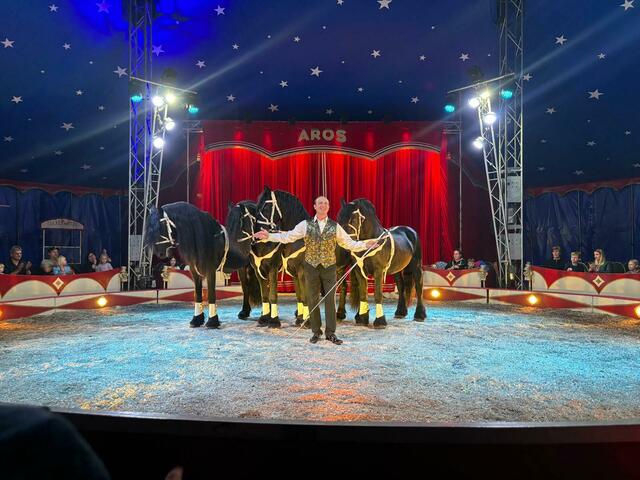 Der Circus Aros begeistert mit seinem Programm. | Foto: Rosenberger