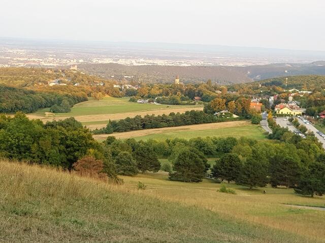 Gießhübl liegt mit 84.549 Euro Brutto-Jahreseinkommen bundesweit auf Platz Eins, gefolgt vom Bezirk Wien-Innere Stadt mit 77.473 Euro und der Hinterbrühl mit 74.989 Euro.  | Foto: Alois Fischer