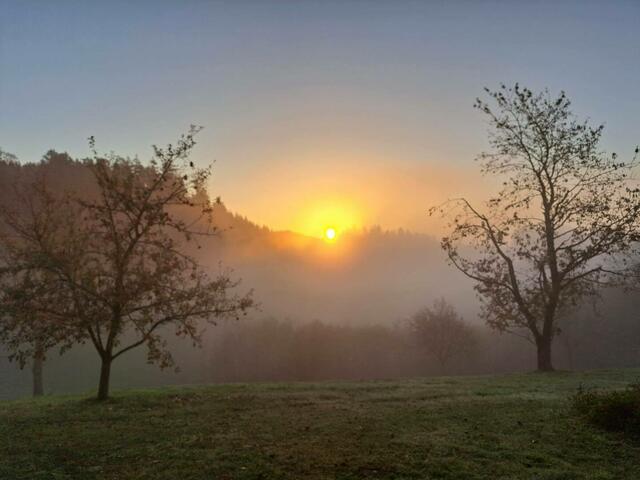 Foto: Manuel Aschauer