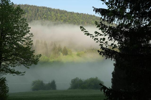 Zum Wochenstart kann man sich auf anfänglichen Nebel einstellen, der durch die Sonne vertrieben wird.  | Foto: Brigitte Schweda