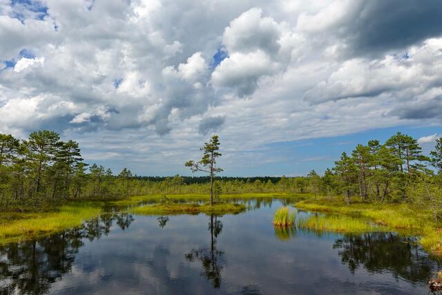 Foto: Leopold Schützeneder