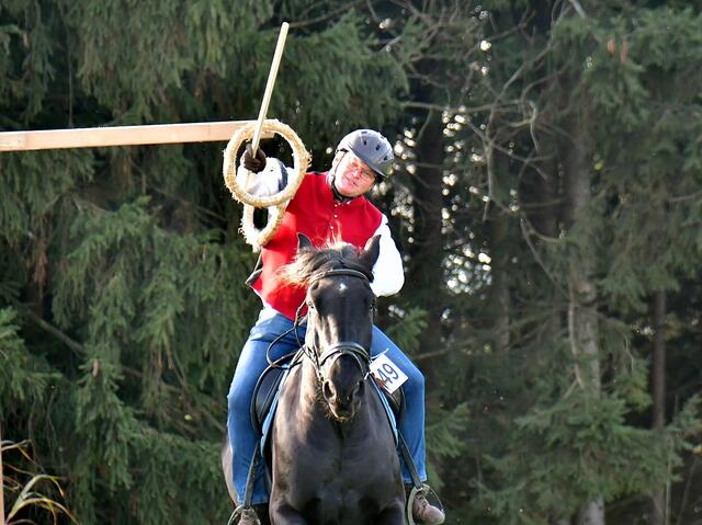 Thomas Groisshammer aus Gallspach