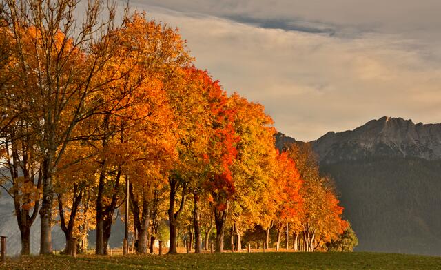 Das herbstliche Hochdruckwetter setzt sich fort.
