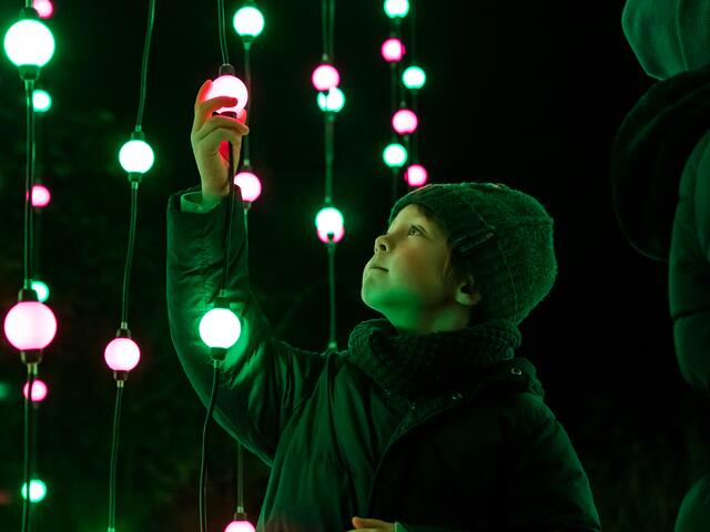Foto: Illumina Lichtergarten GmbH