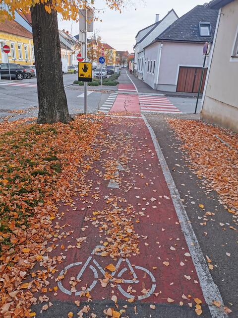 Ein sicheres und durchgängiges Radwegenetz, besonders zu den Schulen, ist dringend nötig. 