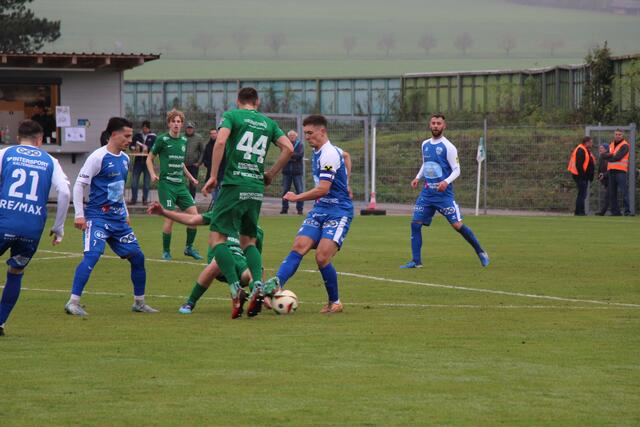 Foto: Staudinger
