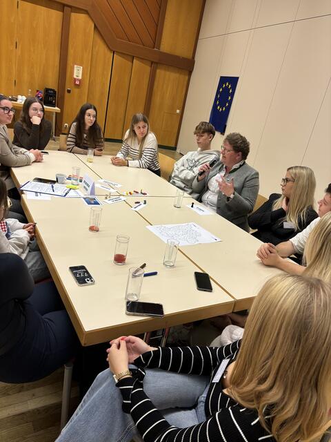 Das Projekt „Jugend trifft Regionalpolitik“ wird durch die Europäische Union (Erasmus+) und beteiligung.st, Fachstelle für Kinder-, Jugend- und Bürger, finanziert und organisiert. | Foto: Regionalentwicklung Oststeiermark