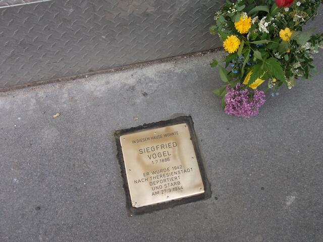 Auch mit "Steinen der Erinnerung" wird in Wien der jüdischen Opfer des Nationalsozialismus gedacht.  | Foto: Michael Glanz