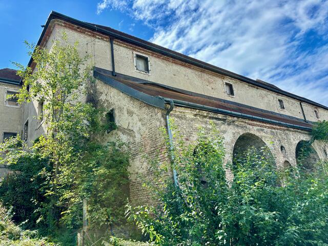 Ab 26. Dezember wandern die Drachen ins Schloss Neugebäude. Dort erwartet Gäste unter anderem Lichtershows.  | Foto: Kriechbaum/MeinBezirk