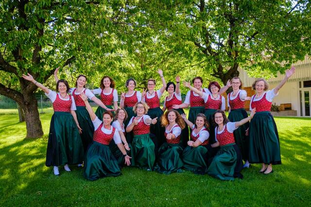 Der gemischte Chor Reichenfels. | Foto: Privat