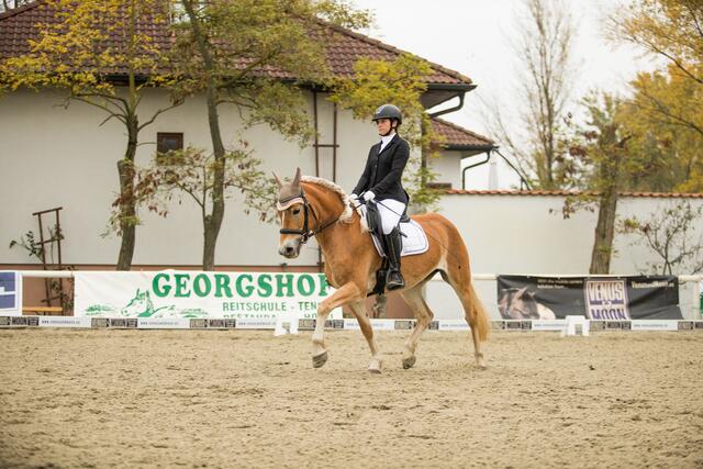 Dressurbewerb: Bianca Cener auf La Fee | Foto: Marie Maximiuk/PPSV