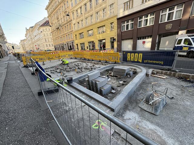 21 Bäume werden zwischen den neuen Parkplätzen in der Dominikanerbastei Platz finden. | Foto: Nathanael Peterlini