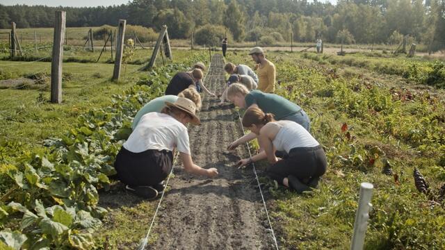Der Film wurde in Deutschland produziert. | Foto: Kevin Schaub