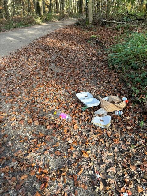 Illegal weggeworfener Abfall auf einem Waldweg in Ranshofen. | Foto: MeinBezirk