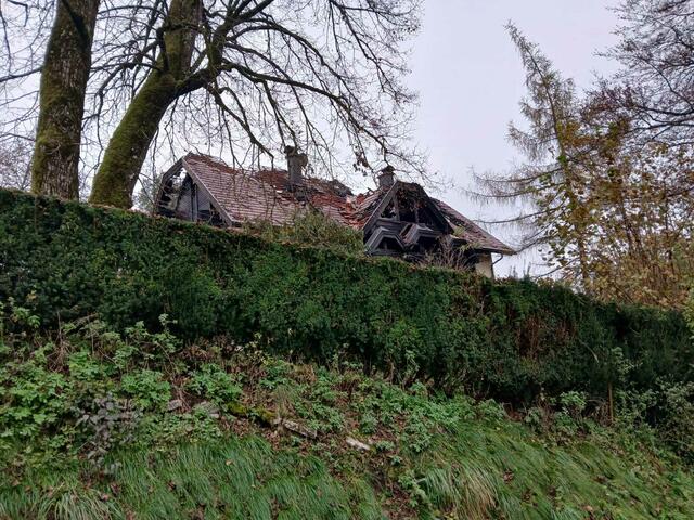 Das Feuer richtete großen Schaden an. | Foto: MeinBezirk.at