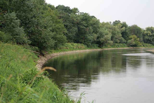 Die March zeigt ein mittleres Renaturierungspotenzial. Durch die Entfernung künstlicher Uferbefestigungen könnte hier eine wertvolle Auenlandschaft entstehen, die auch den Hochwasserschutz stärkt. | Foto: Michael Stelzhammer WWF