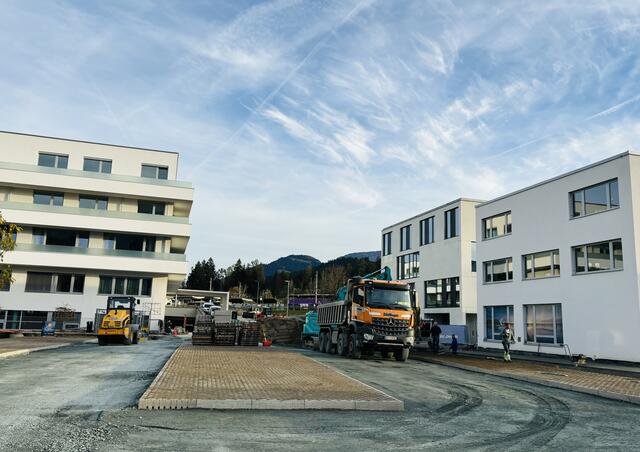 Gestaltungsarbeiten für "Grünes Band" laufen. | Foto: Kogler