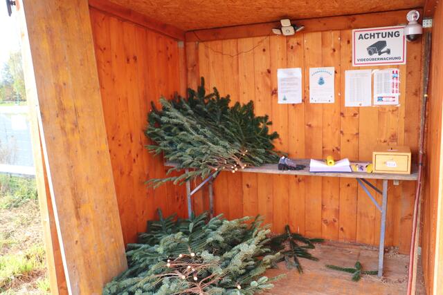 Das Reisig im Hütterl in der Sportplatzstraße gegenüber der Volksschule Fernitz kann man gegen eine freiwillige Spende mitnehmen. Wer möchte, kann sich schon jetzt einen Christbaum aussuchen und reservieren. Banderolen für die Kennzeichnung liegen bereit. | Foto: Edith Ertl