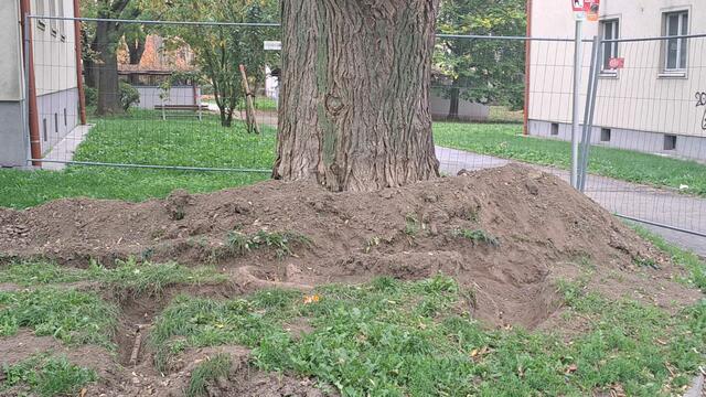 Foto: Gerhard Kuchta