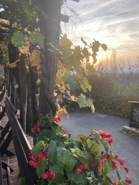 Sonnenuntergangsstimmung