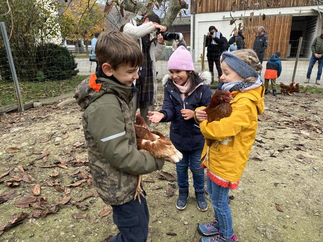 Die Kinder konnten mit den Hühnern auch auf "Tuchfühlung" gehen. | Foto: Hirss