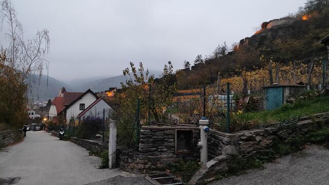 da geht die Straße dann in einen Waldweg über... | Foto: I.Wozonig