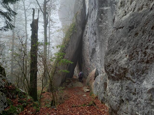 Am Weg  auf den Plombergstein... | Foto: H. Bachinger