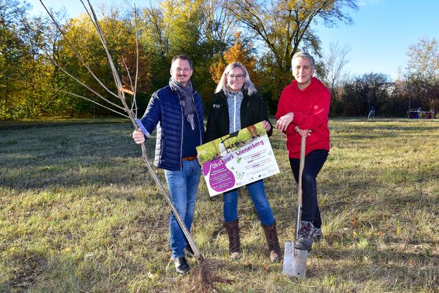 Die Otto-Probst-Siedlung hat viel Grünflächen und hier gibt es auch die Obststadt. (Archiv) | Foto: Spitzauer